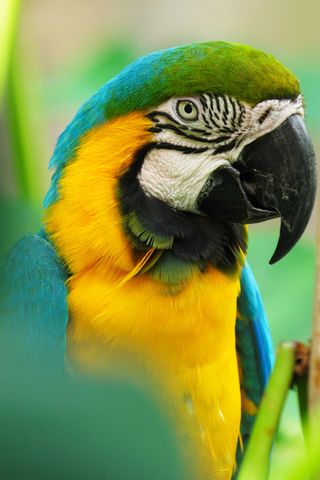 Photo: Ralph Daily. Creative Commons Attribution 2.0 Generic. (Come a little closer and I'll explain what those asterisks mean.)