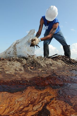 Photo: Petty Officer 3rd Class Patrick Kelley. Creative Commons Attribution 2.0 Generic. "A worker cleans up oily waste on Elmer's Island, just west of Grand Isle, La., May 21, 2010."