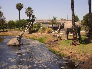 La Brea Tar Pits. Photo: 3scandal0. Public domain. Not actual mammoths.